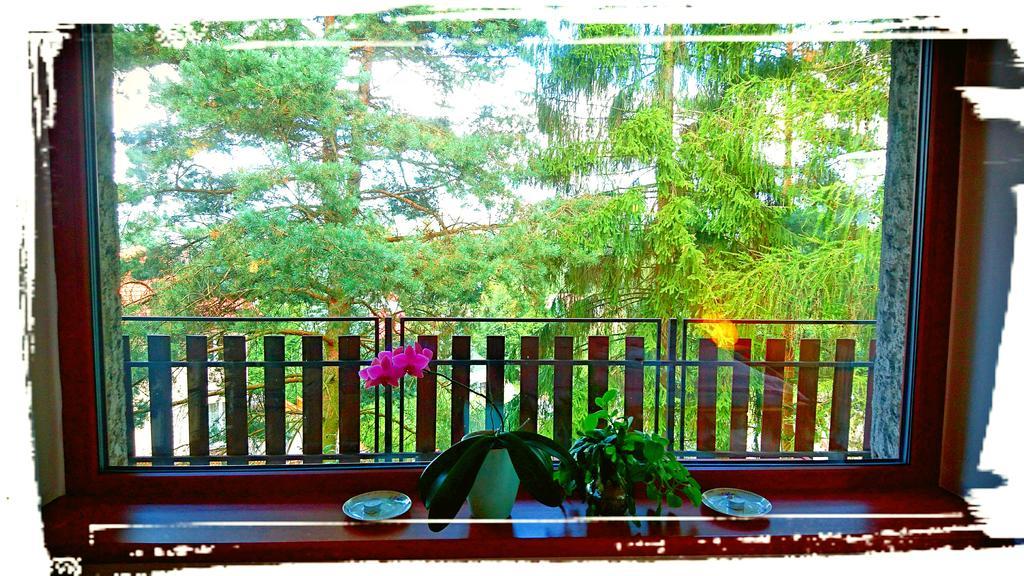 Bor Bed & Breakfast